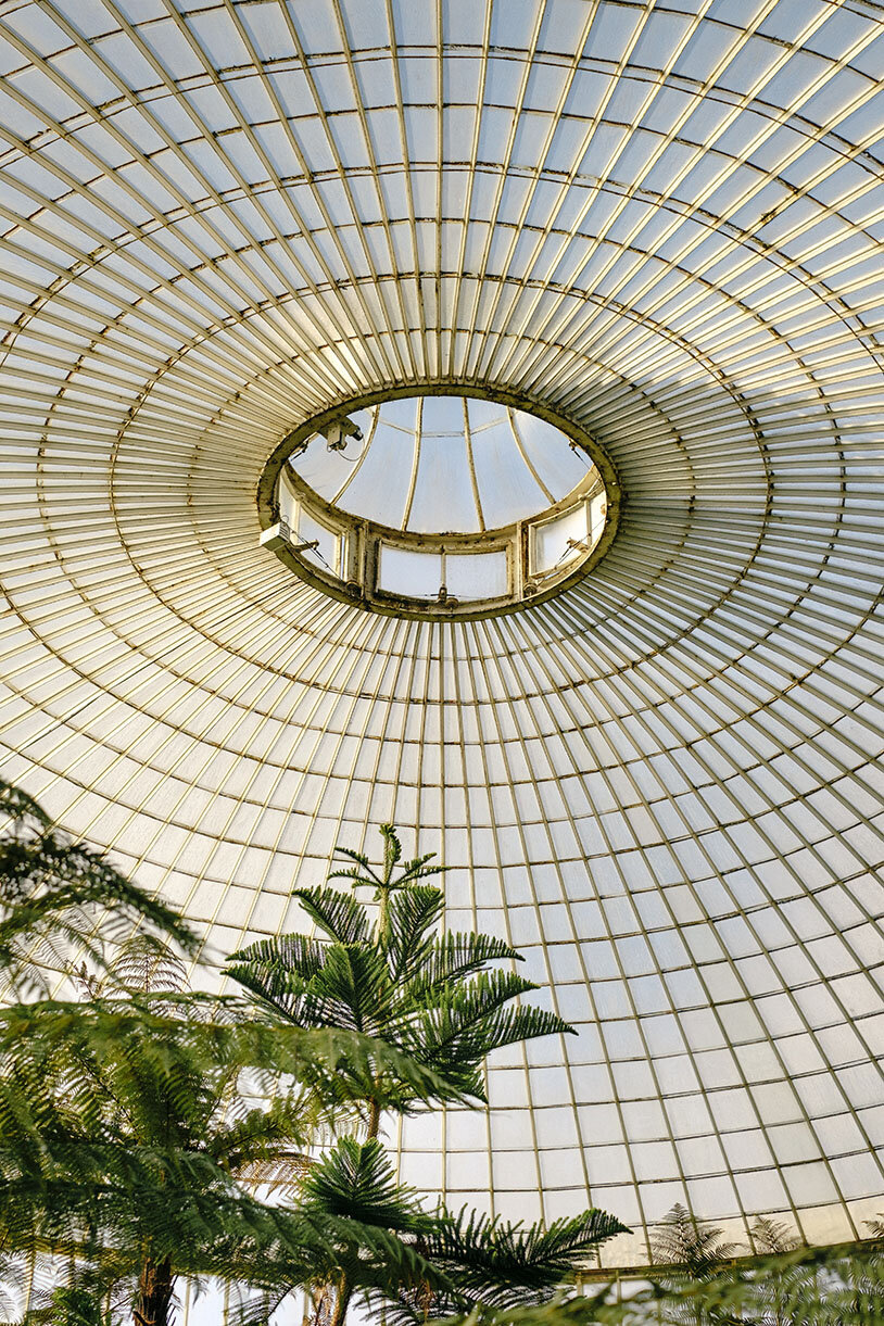 Botanischer Garten (Foto: Samuel Zeller)