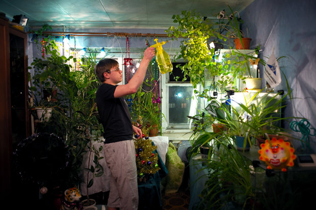 Die meisten Pflanzen in Norilsk findet man in Wohnungen, wo sie unter künstlichem Licht gehegt und gepflegt werden (Foto: Elena Chernyshova)