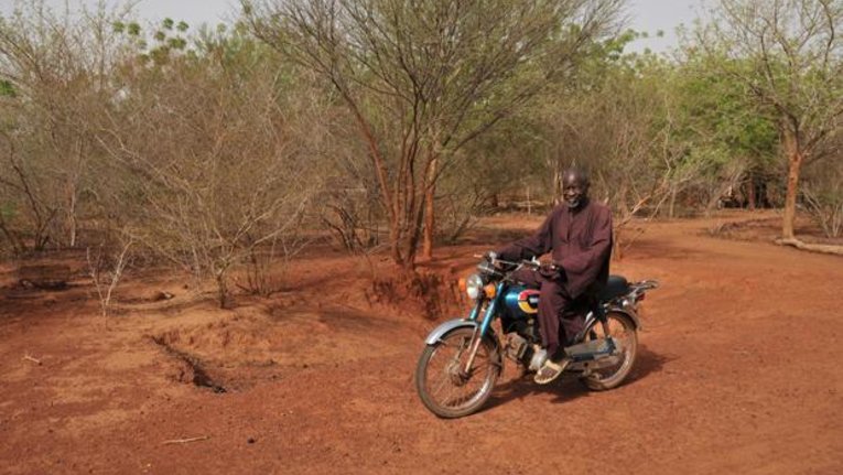 Das Baumwunder Von Burkina Faso