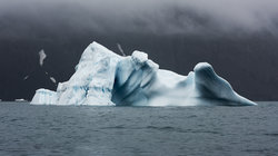 Ein Eisberg im Ozean (Foto: Christian Åslund)