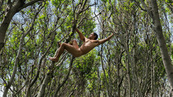 Ein nackter Mann hängt in den Bäumen