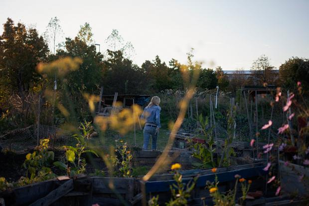 Ich möchte Teil einer Blumenbewegung sein: Den Großstadtgärtnern geht es ums Gemeinschaftserlebnis