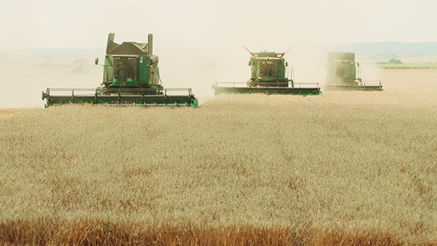 Am meisten lohnt sich Landwirtschaft heute, wenn man sie im ganz großen Stil betreibt – so wie hier in Rumänien 