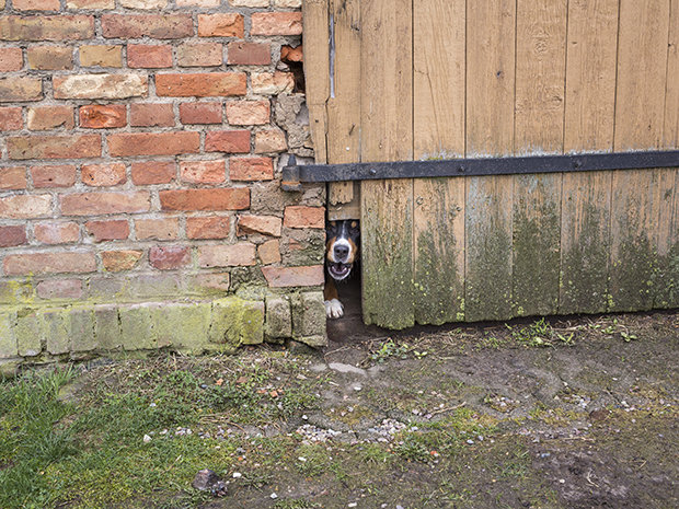 Vom Leben auf dem Land gibt es viele verklärende Bilder. In der Realität muss man aufpassen wie ein Schießhund, dass man gut wirtschaftet und am Ende das Geld stimmt