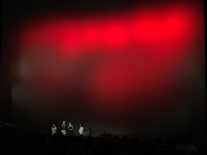 Leinwand des IMAX (Foto: Michael Brake)