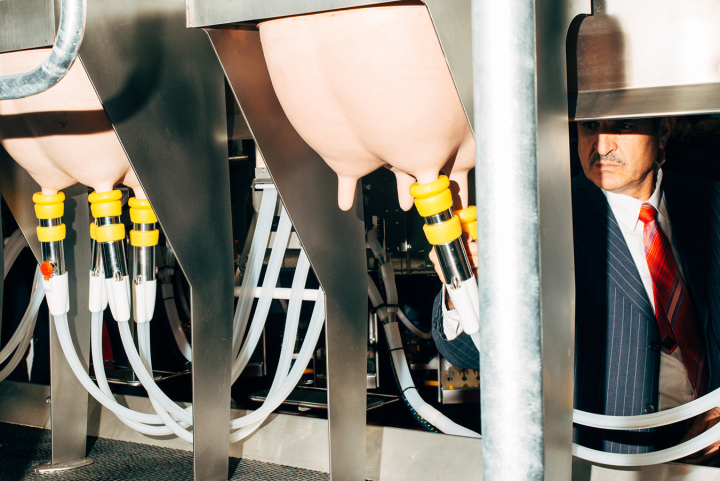 Demonstration of a rotary at EuroTier trade fair. Robotic milking and rotaries are two options for simultaneous milking of hundreds of cows in a dairy. Hannover, 11/2016