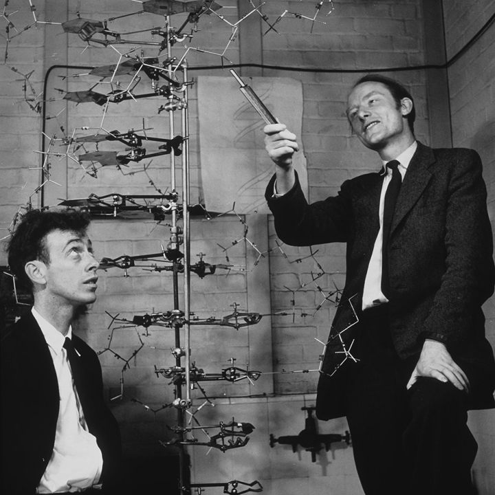 James Watson und  Francis Crick mit einem DNA Model 