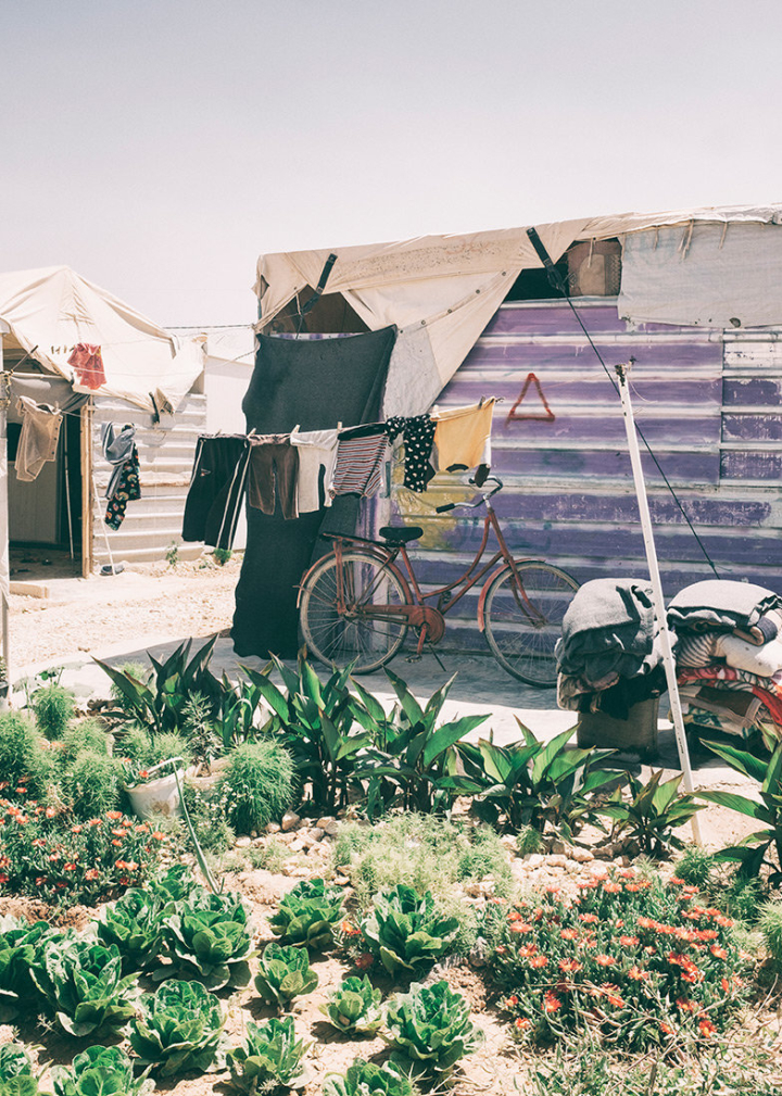 Kleiner Garten in Zaatari