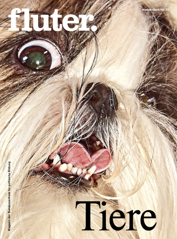 Cover fluter Nr. 72 Tiere