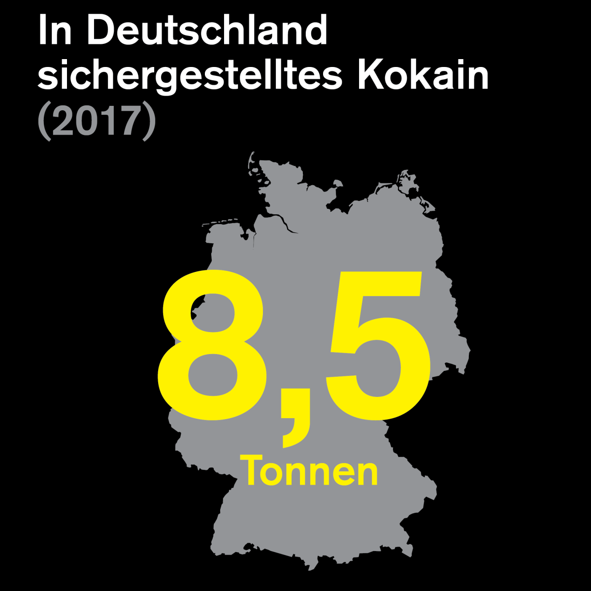 Kokain Fund durch den Zoll