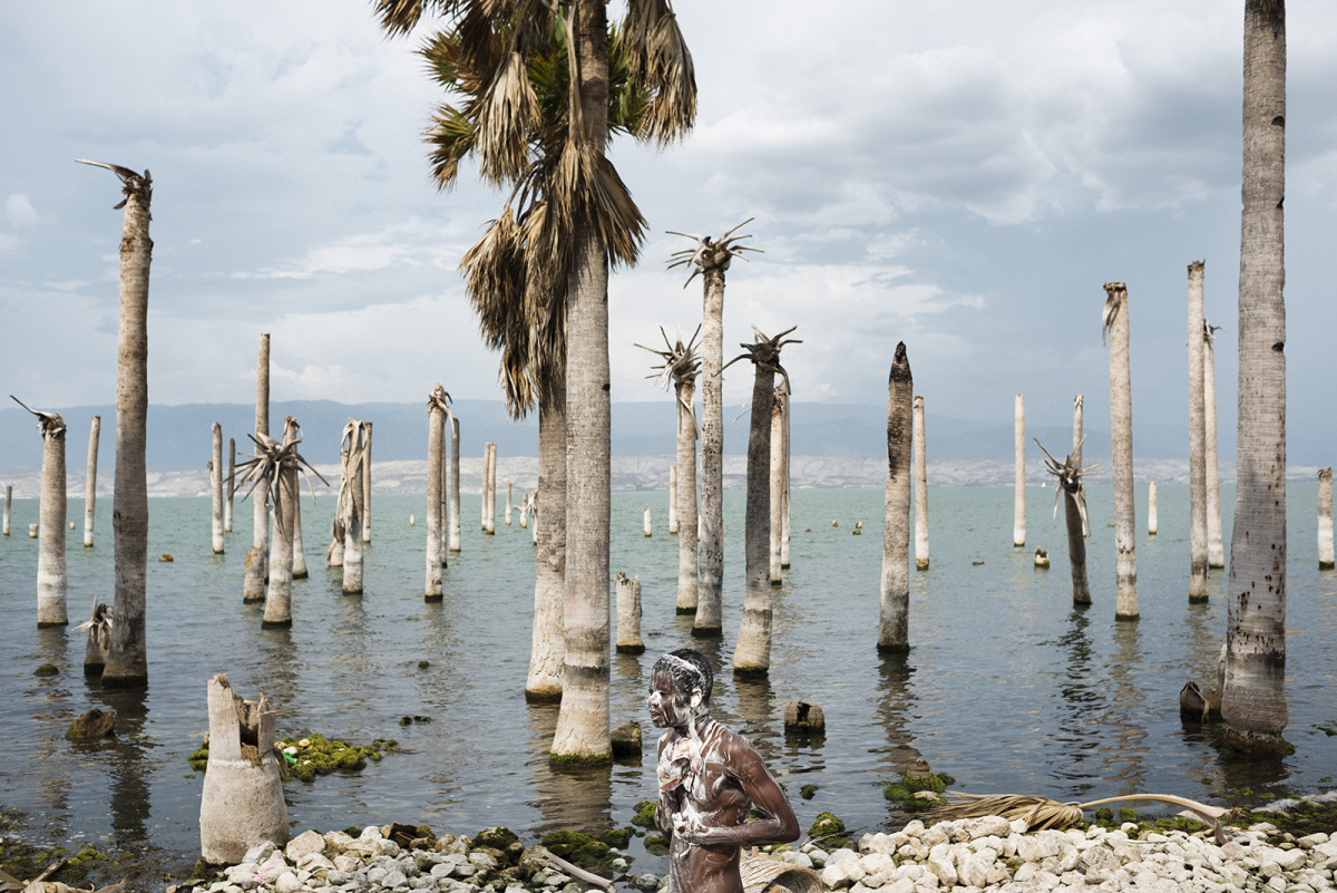 Der Azuéi-See hat vom Land noch Palmenstümpfe übrig gelassen die aus dem Wasser ragen