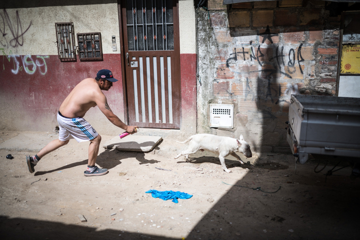 Mann mit Hund in Bogota