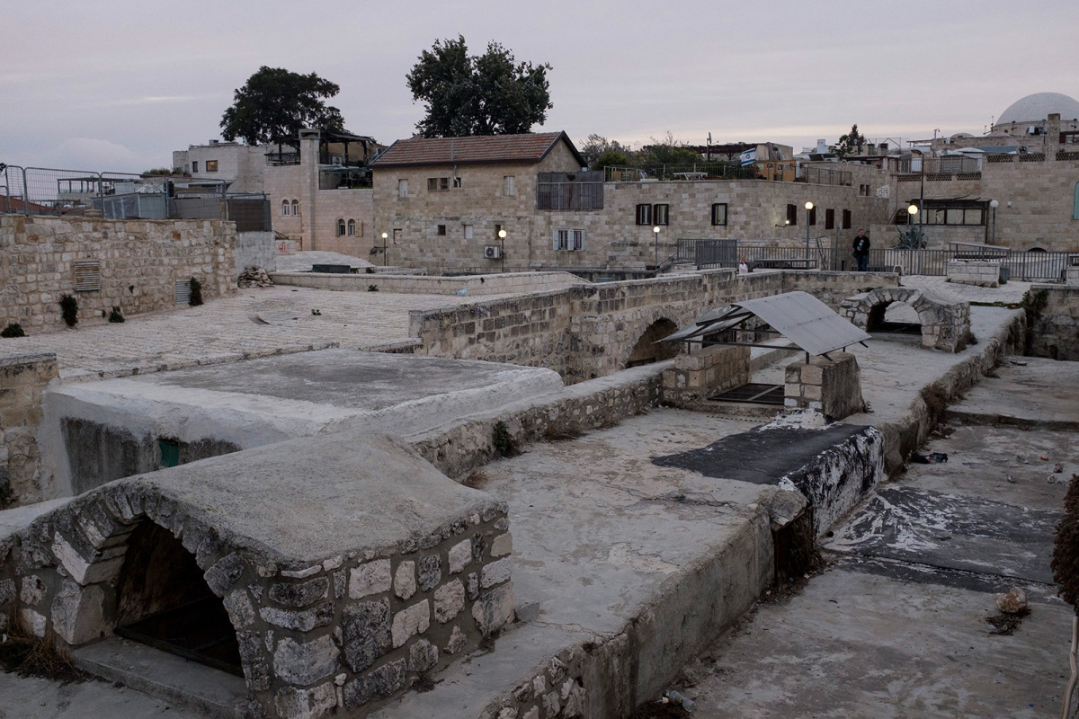 A branch of Jerusalem Old City Roof Tops