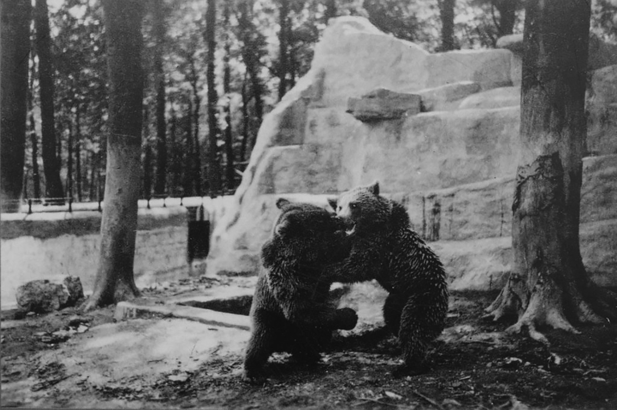 Zoo im KZ Buchenwald