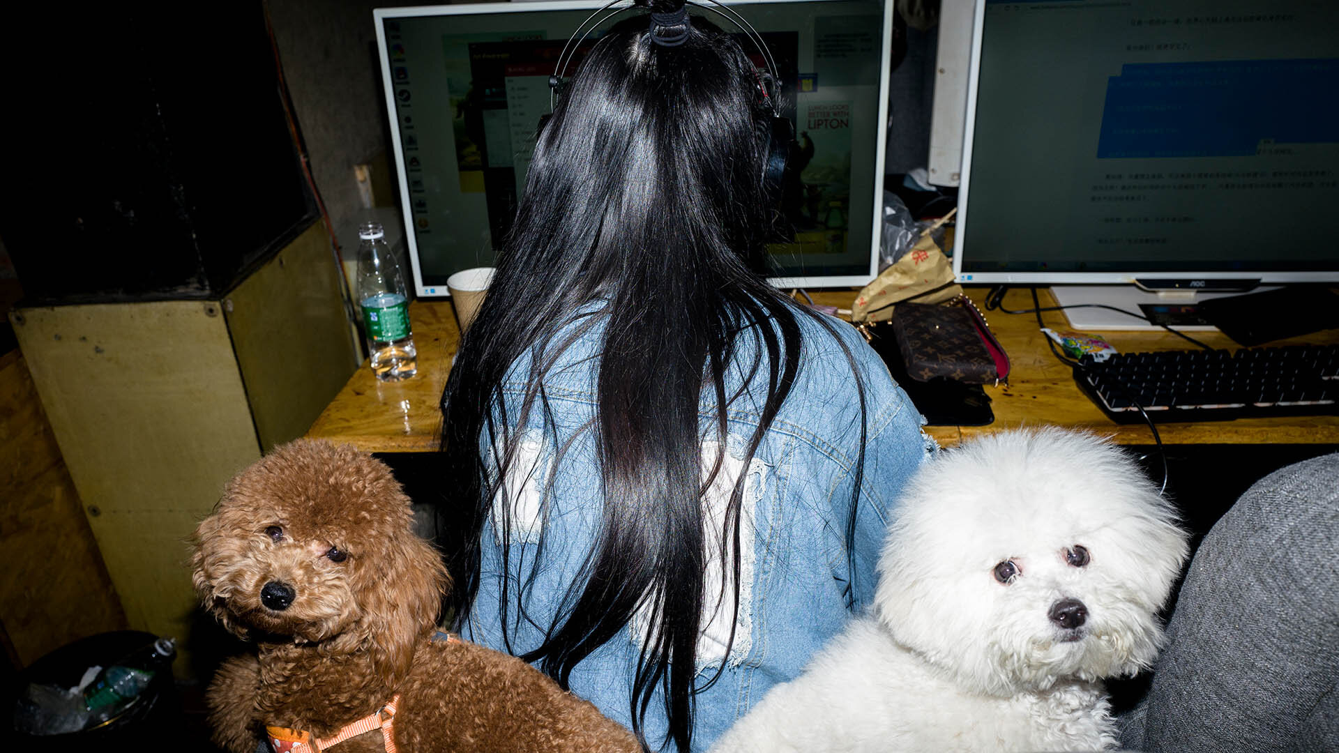Chinese Network Life
