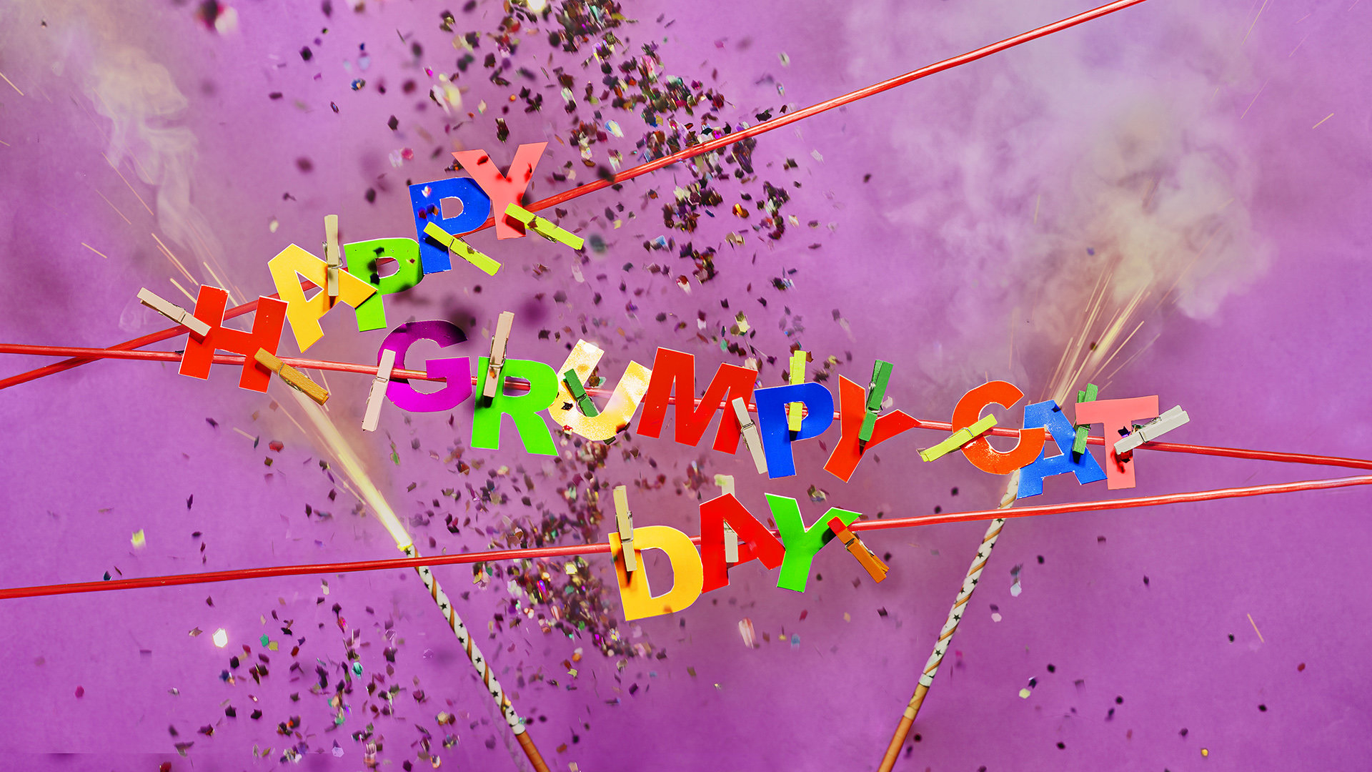 Happy Grumpy Cat Day ( Foto: Jan Q. Maschinski )