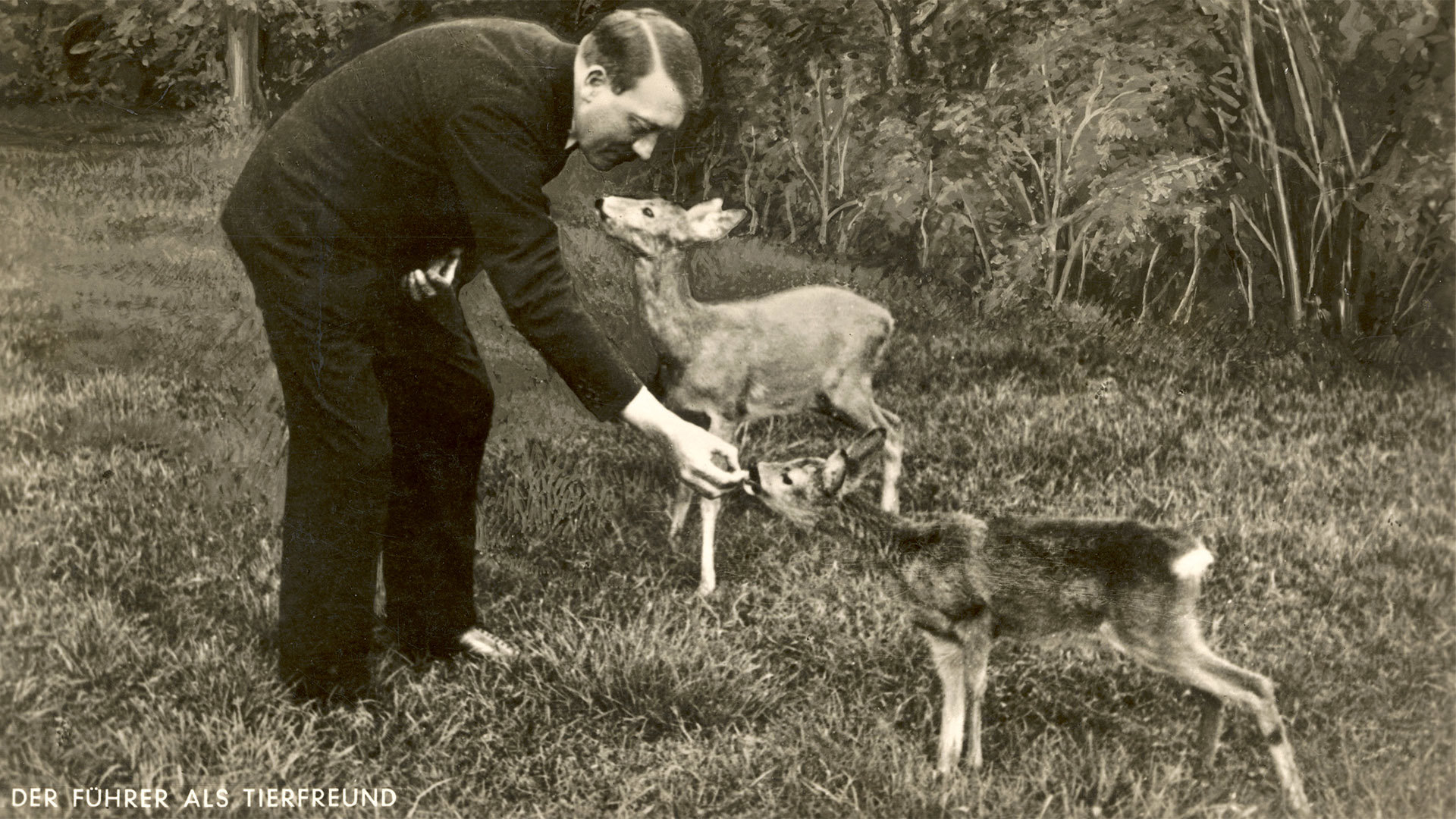 Postkarte "Der Führer als Tierfreund" Hitler, Reh