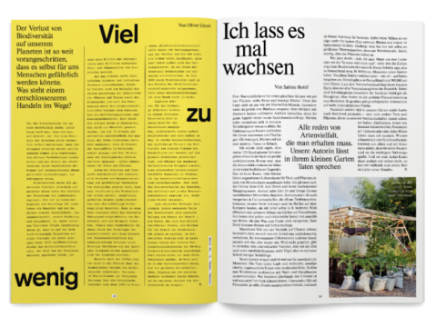 Artenvielfalt im Schrebergarten