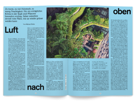 Die Städte müssen grüner werden