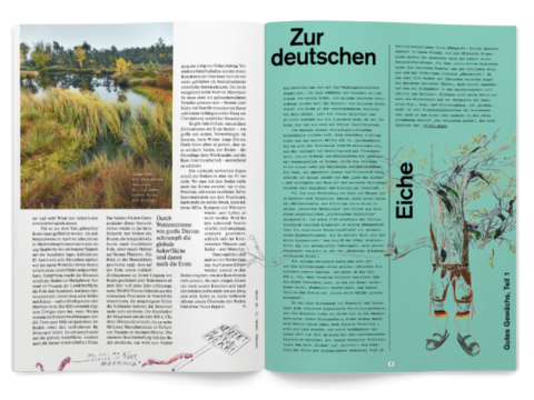 Deutsche Eiche
