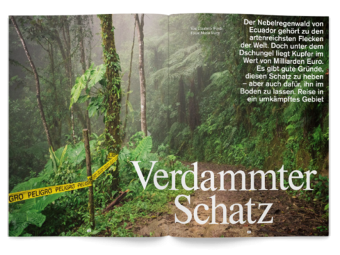 Kupfer Ausbeutung Regenwald