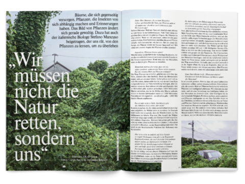 Intelligenz von Pflanzen
