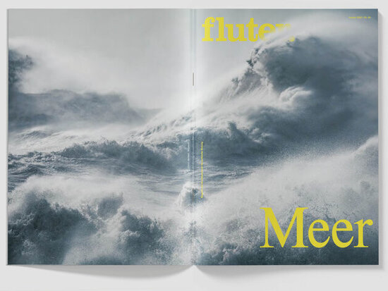 fluter Meer Cover