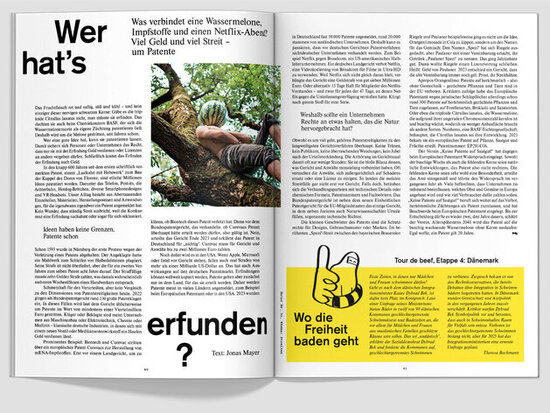 fluter 91 "Streiten", Artikel "Wer hat's erfunden"