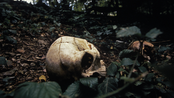 Opfer des Massakers von Srebrenica auf dem Fluchtweg in den Bergen gefunden