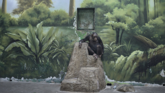 Schimpanse sitzt allein auf künstlichem Felsen vor abblätternder Dschungelmalerei in einem kargen Zoo-Gehege