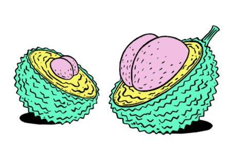 Stinkfrucht-Illustration mit Po
