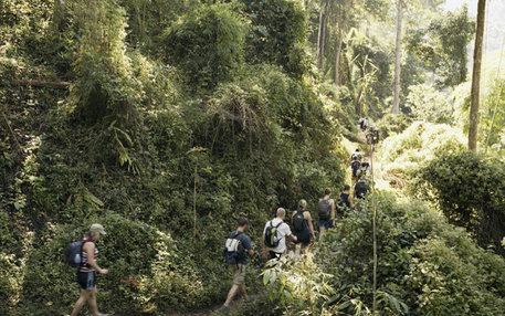 Thailand-Touristen, die den Urwald besuchten …