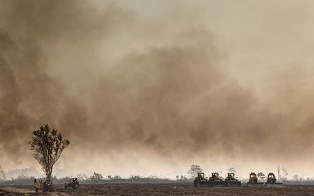 Nach der Brandrodung in einem ehemaligen Waldgebiet im äthiopischen Gambetta ist die Bahn frei für Bulldozer, die den Boden bereiten für den Anbau von Zuckerrohr und Palmöl
