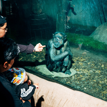 Zoobesucher zeigen einem Affen den Mittelfinger. Foto: Nikita Teryoshin