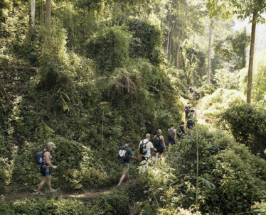 Thailand-Touristen, die den Urwald besuchten … Thailand-Touristen, die den Urwald besuchten …