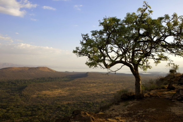 Direkt neben Arba Minch gelegen: Der Nechisar-Nationalpark