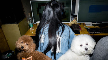 Chinese Network Life
