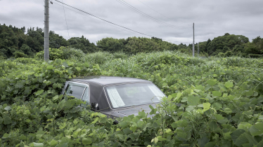 Fukushima