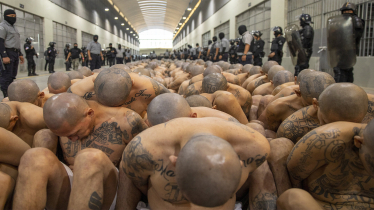 MS 13