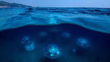 Nemos Garden