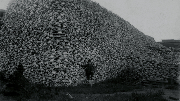 Foto: Burton Historical Collection/Detroit Public Library