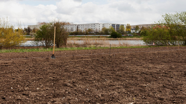 Das Projekt „Weltacker“ auf der Internationalen Gartenausstellung in Berlin