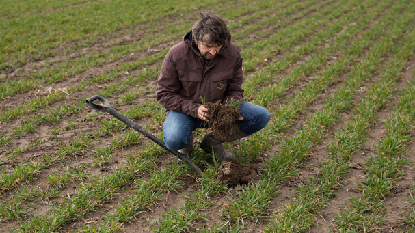 Landwirt auf dem Feld begutachtet ein Stück Boden