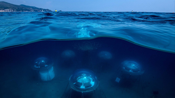 Nemos Garden